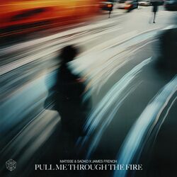 Cover of Pull Me Through The Fire