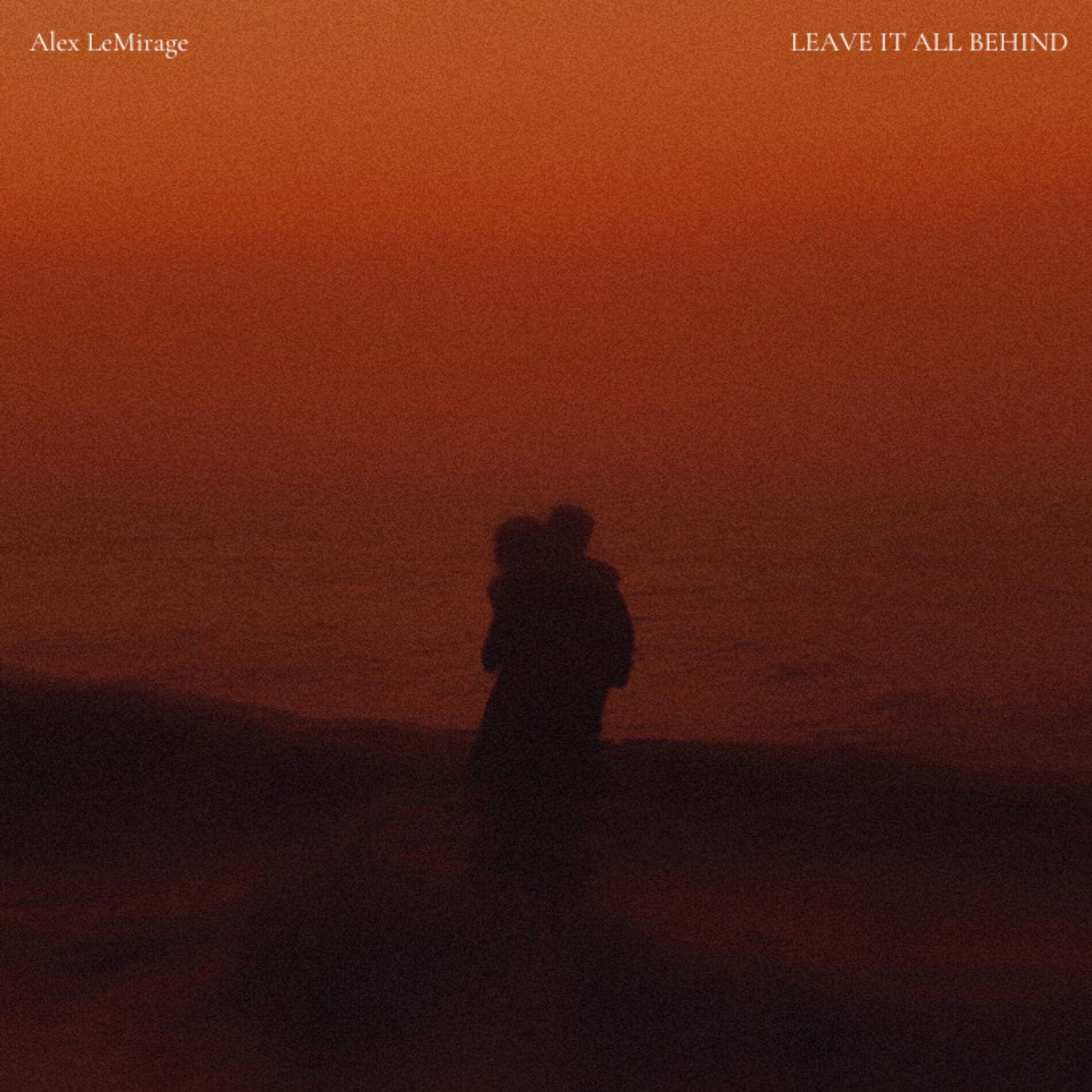 Album cover of LEAVE IT ALL BEHIND