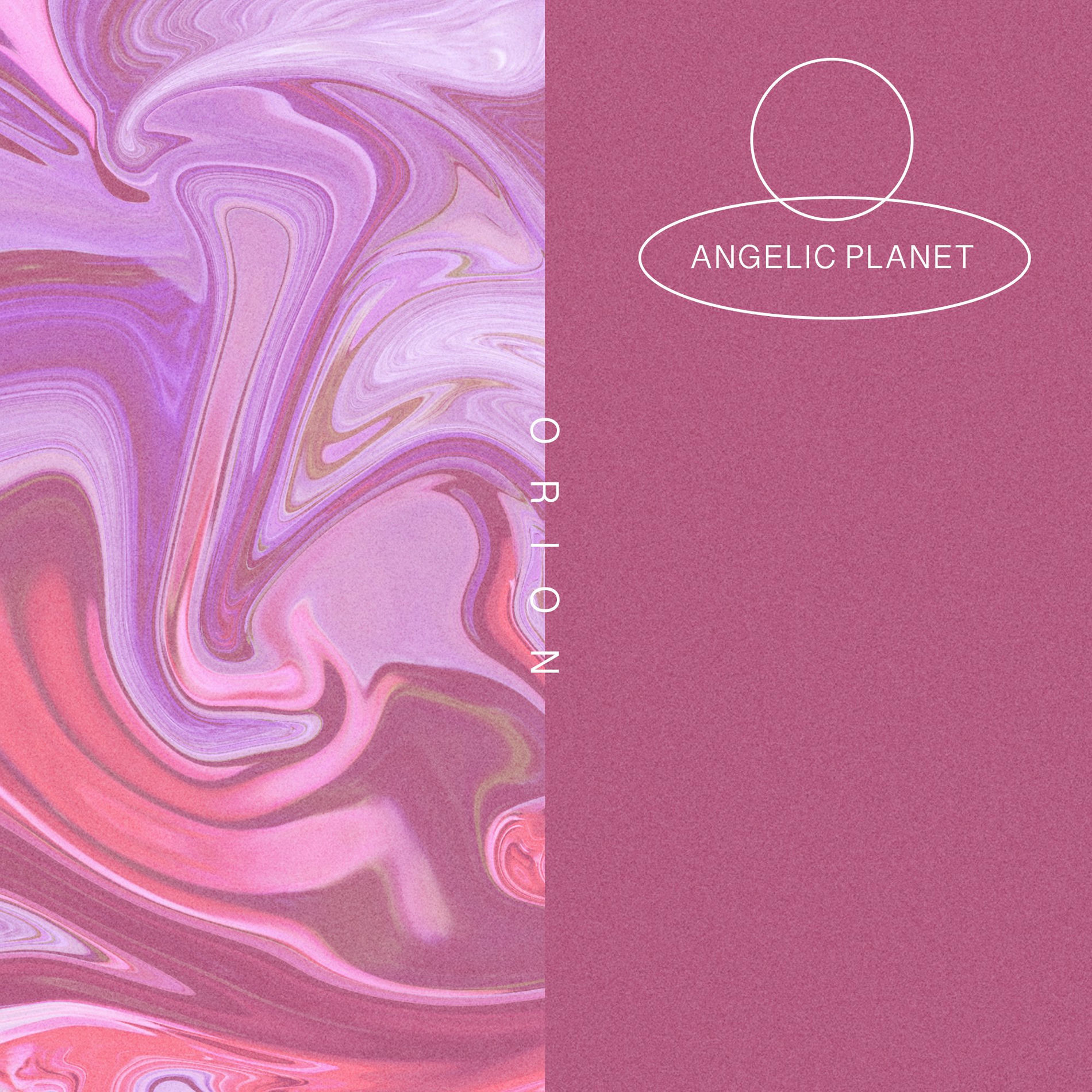 Album cover of Orion