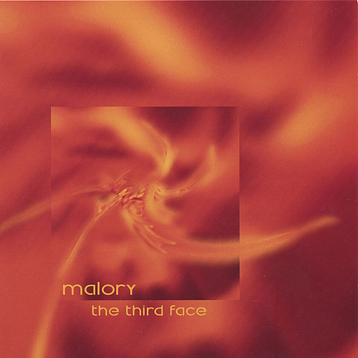 Album cover of the third face