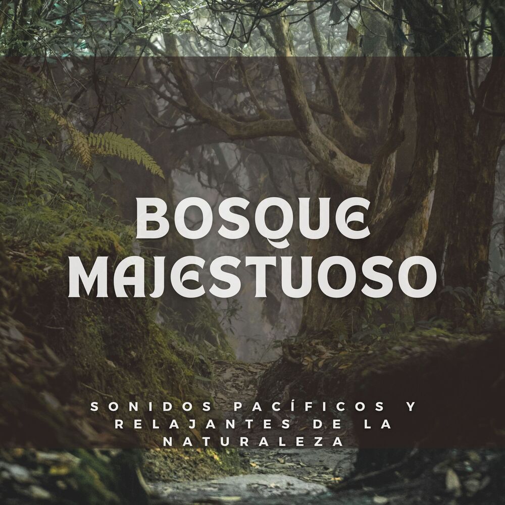 Picture of Bosque Majestuoso: Sonidos Pacíficos y Relajantes de la Naturaleza
