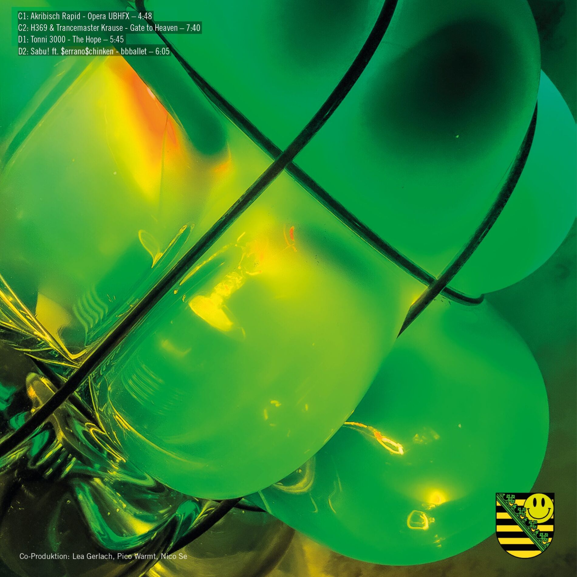 Album cover of Sachsentrance x DURCH
