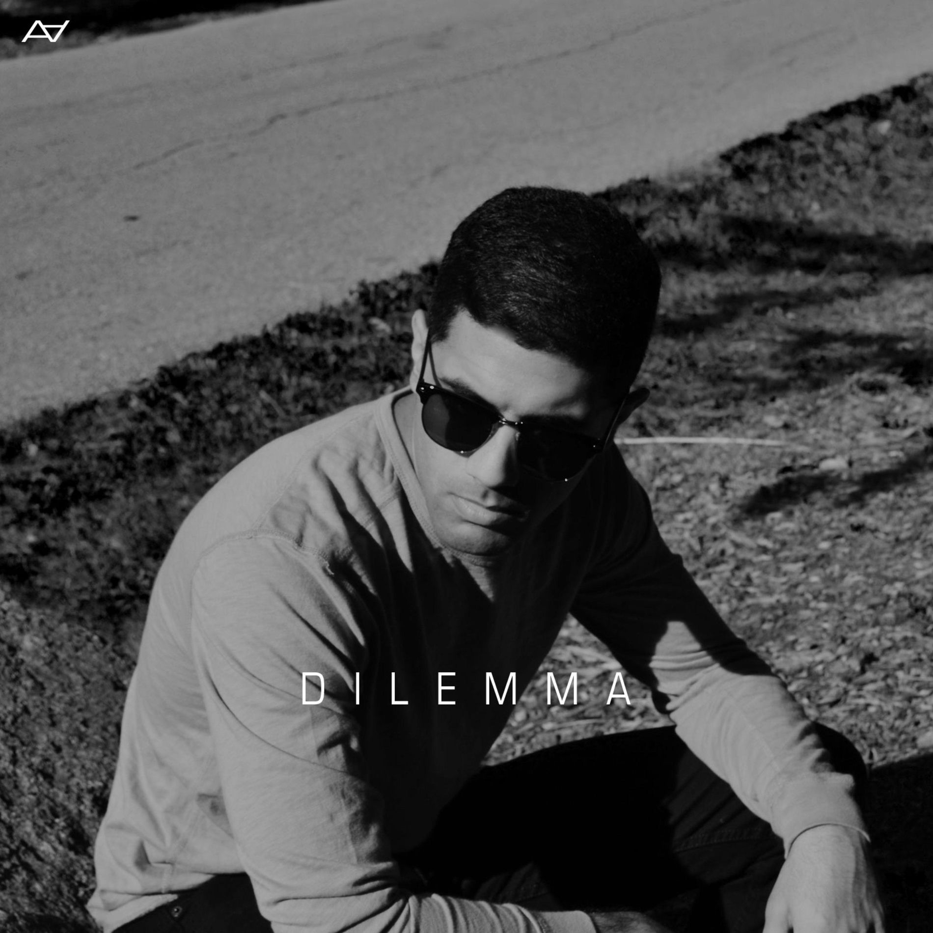 Album cover of Dilemma