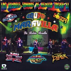 Cover of Los Mejores Sonidos de Mexico Tocan Al (En Vivo)