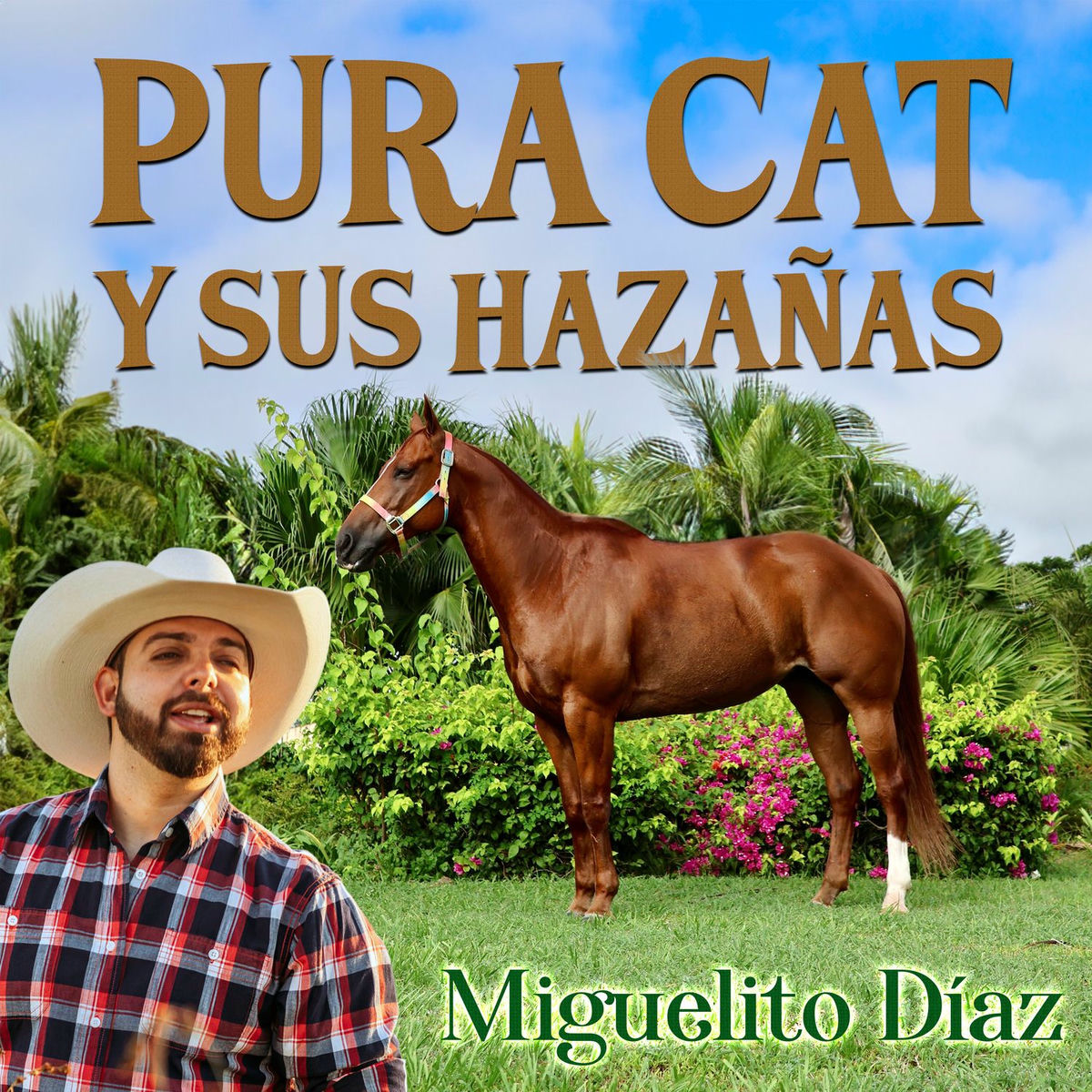 Album cover of Pura Cat y sus Hazañas