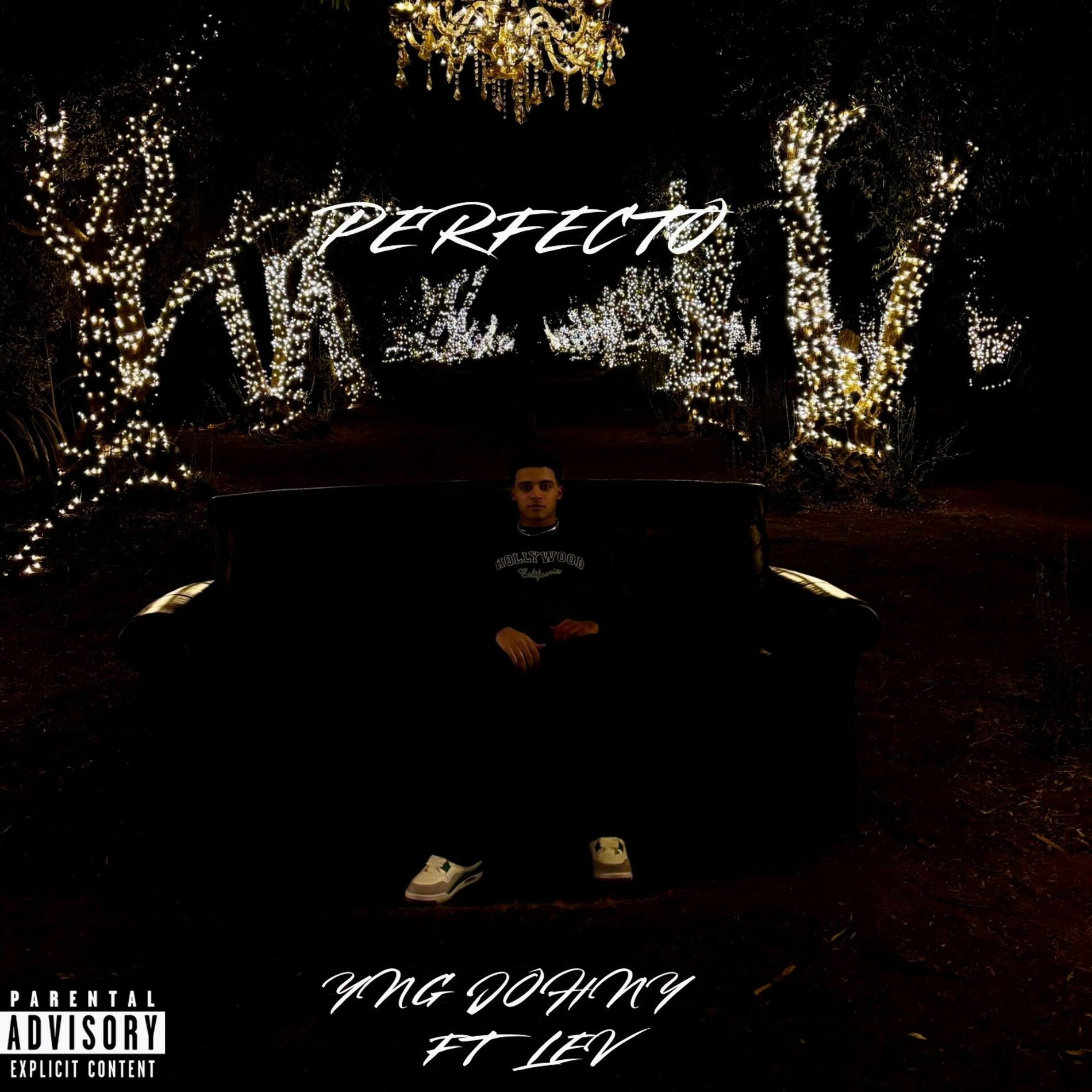 Album cover of PERFECTO (feat. LEV)
