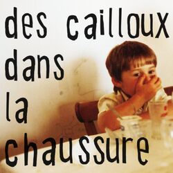 Cover of Des cailloux dans la chaussure
