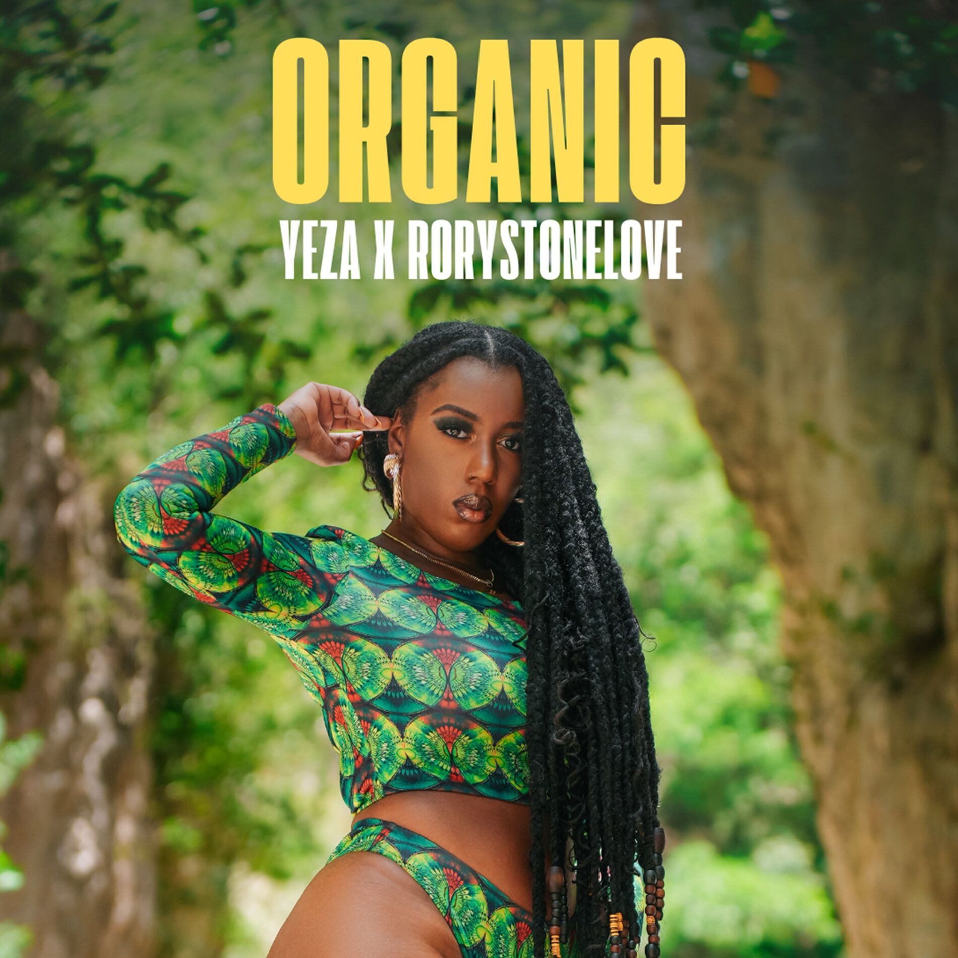 Album cover of Organic
