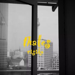 Cover of Risiko