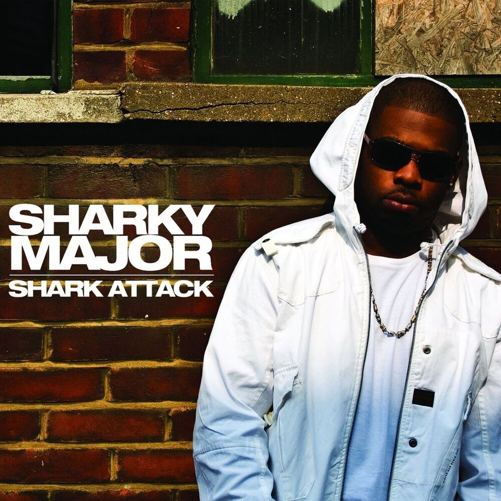 Picture of Shark Attack