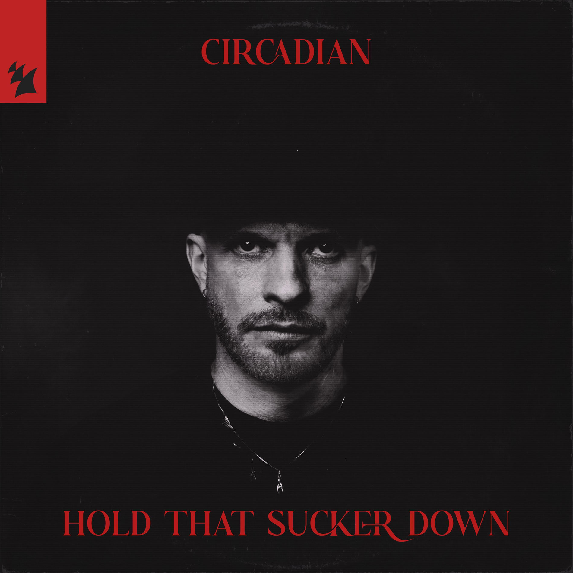 Album cover of Hold That Sucker Down