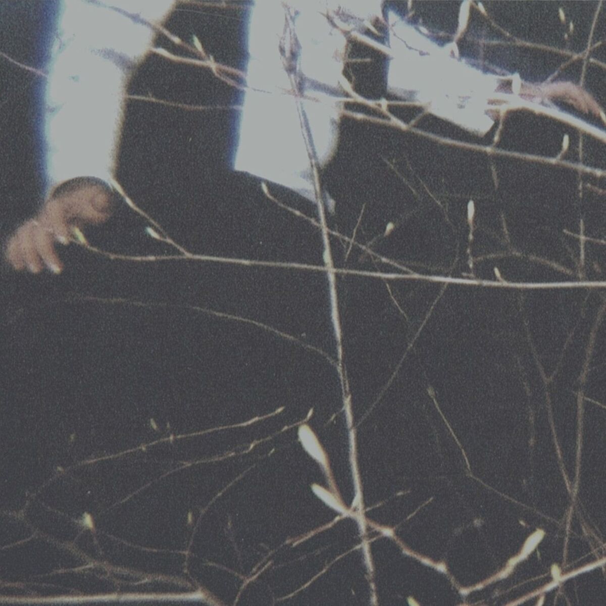 Album cover of What Did You See?