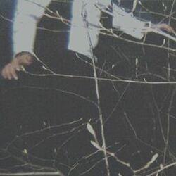 Cover of The Wilderness