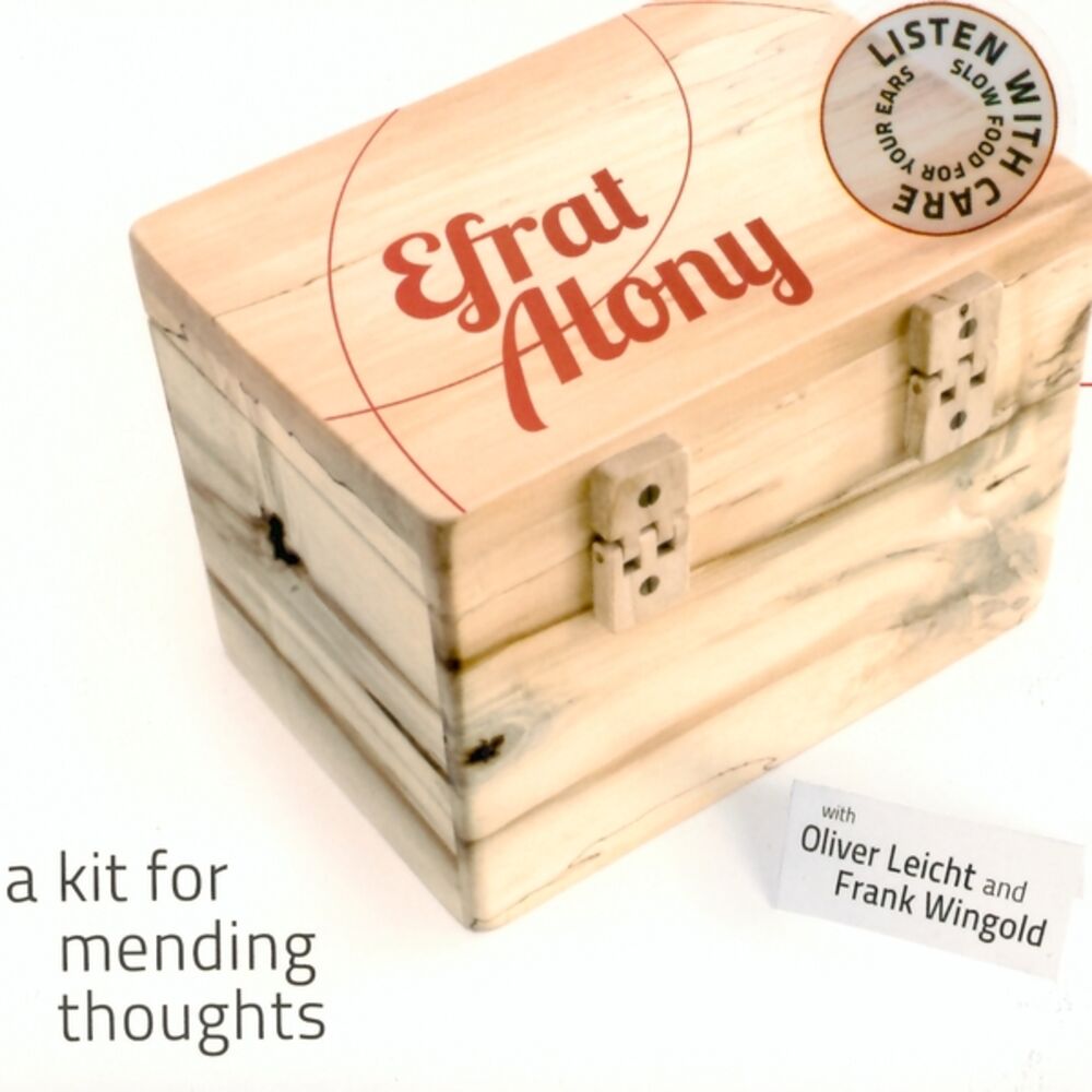 Picture of A Kit for Mending Thoughts