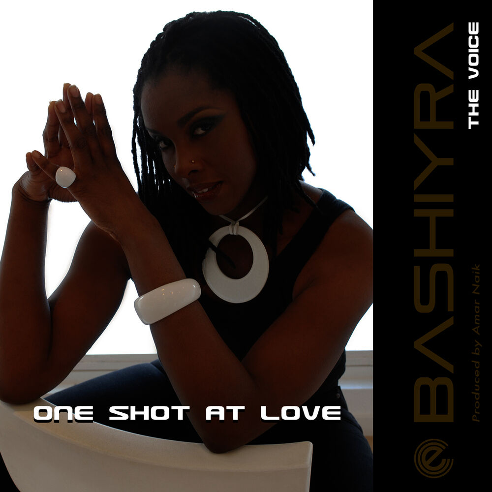 Picture of One Shot at Love