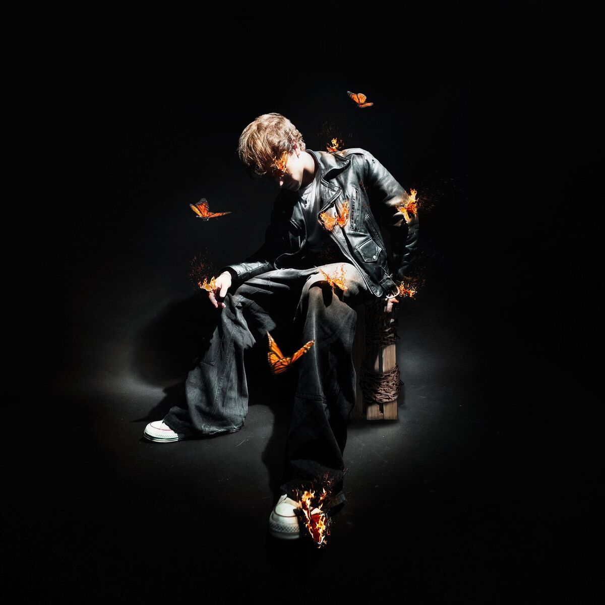 Album cover of The Butterfly Effect