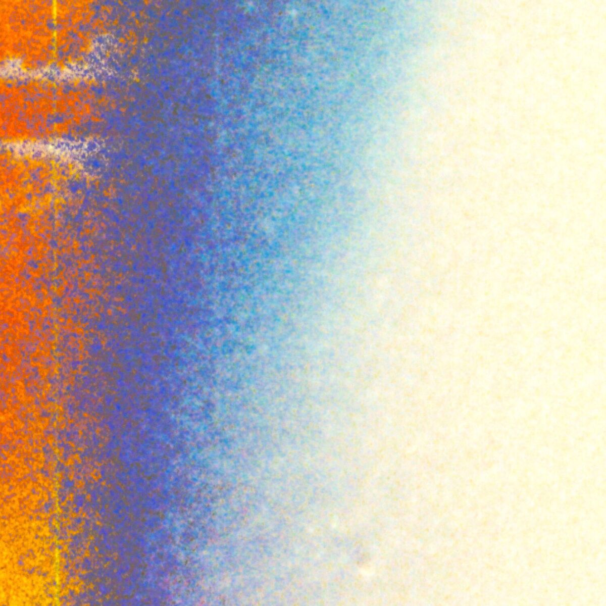 Album cover of For The Birds