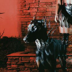 Cover of MUTT