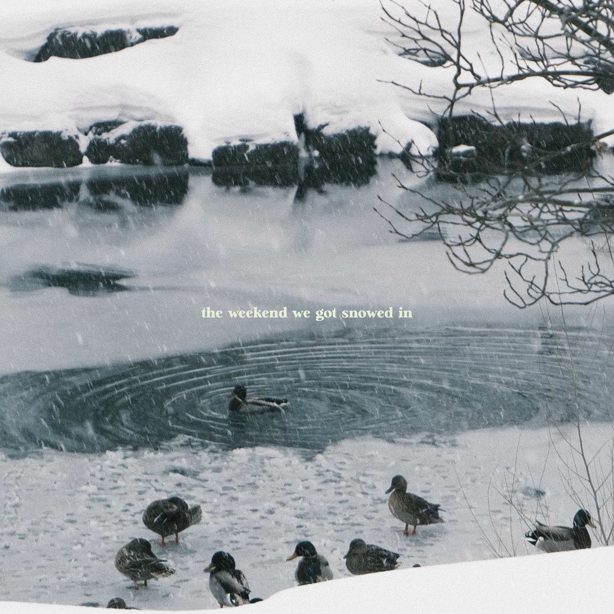 Album cover of the weekend we got snowed in