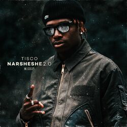 Cover of Narsheshe 2.0