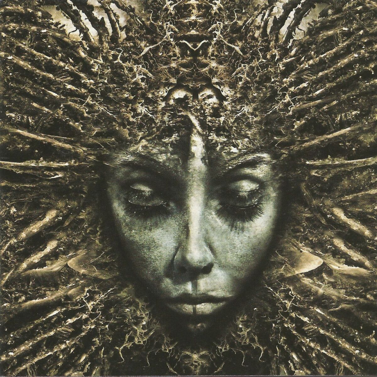 Album cover of Army of Me