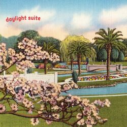 daylight suite