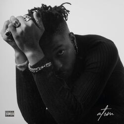 Cover of ATOM