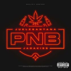 Cover of Party N Bullshit