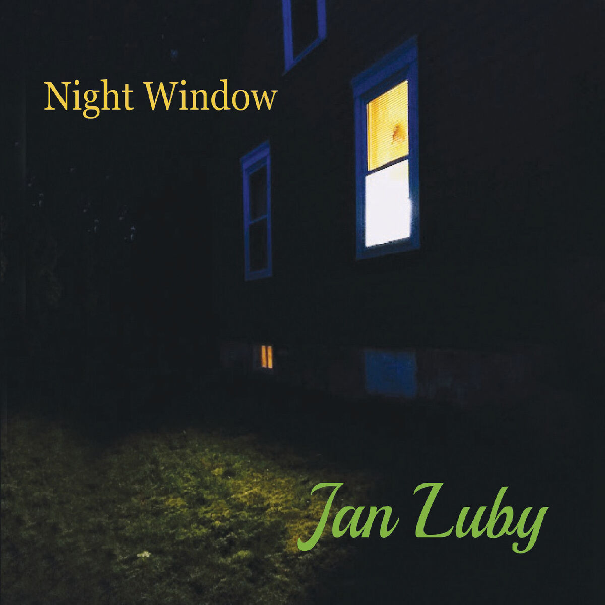 Album cover of Night Window
