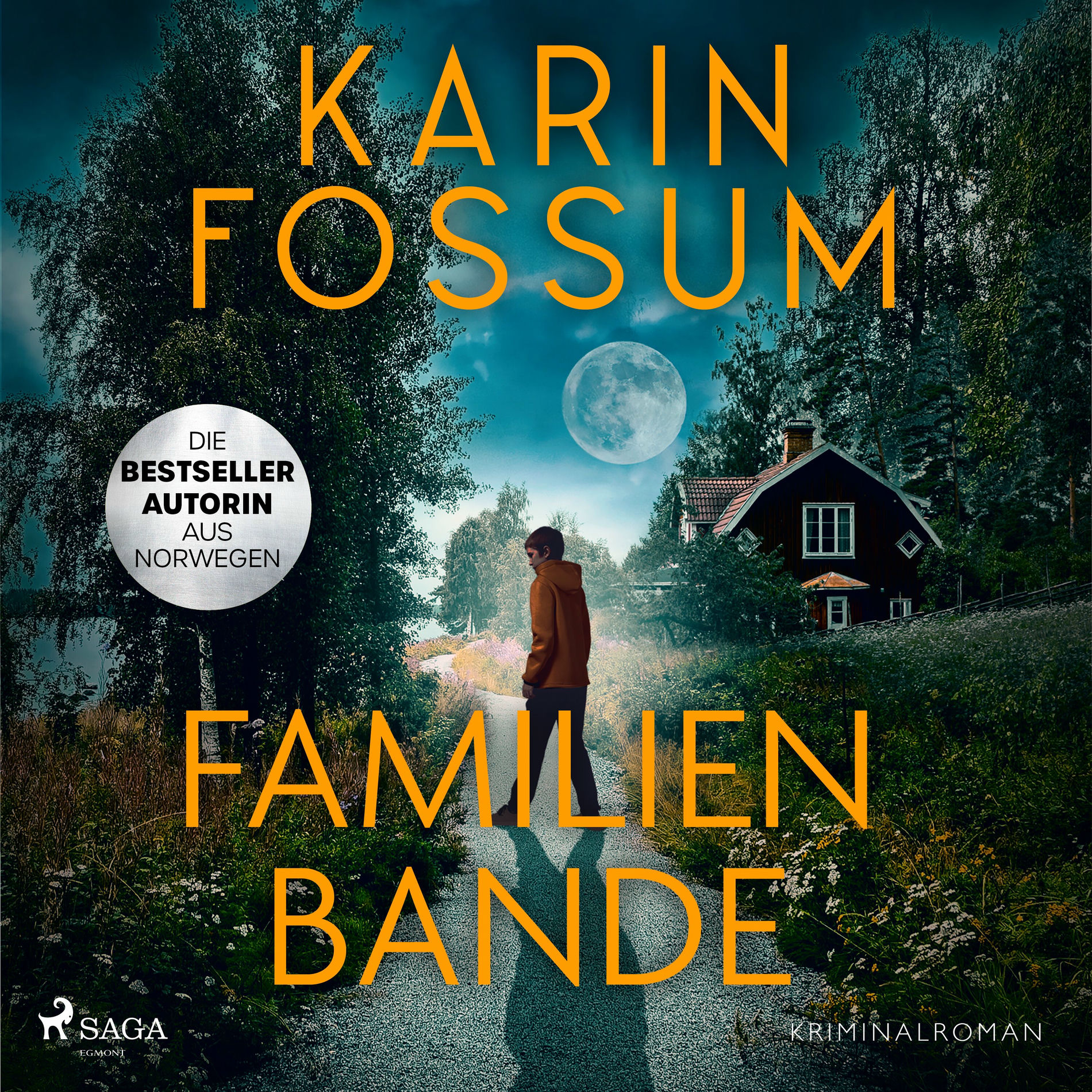 Album cover of Familienbande (Die Psychologie des Bösen – das spannende Prequel zur Eddie-Feber Reihe von Norwegens Queen-of-Crim