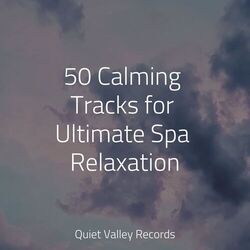 Cover of 50 Calming Tracks for Ultimate Spa Relaxation