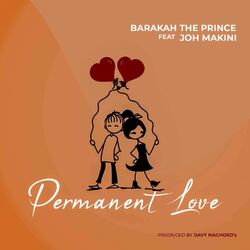 Cover of Permanent Love