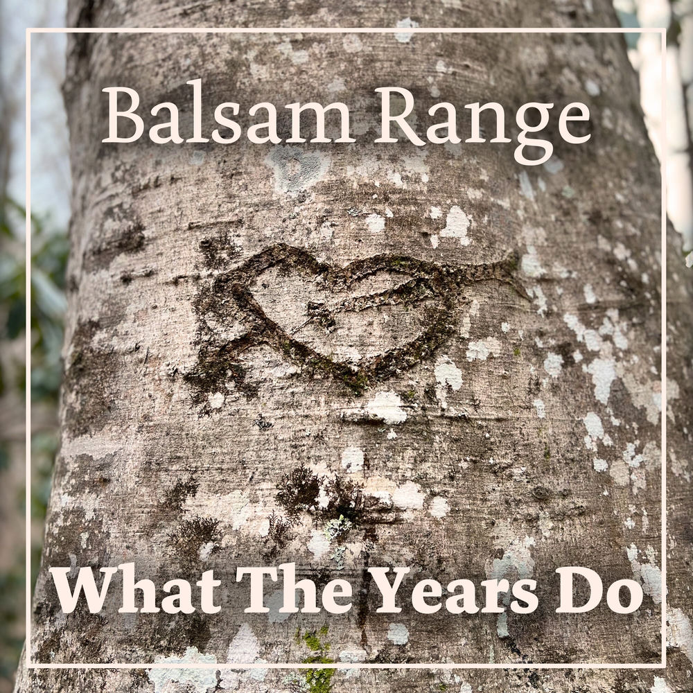 What the Years Do cover