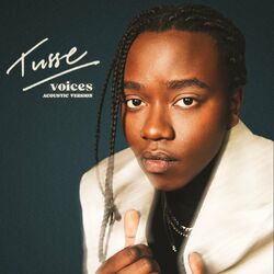 Cover of Voices (Acoustic)