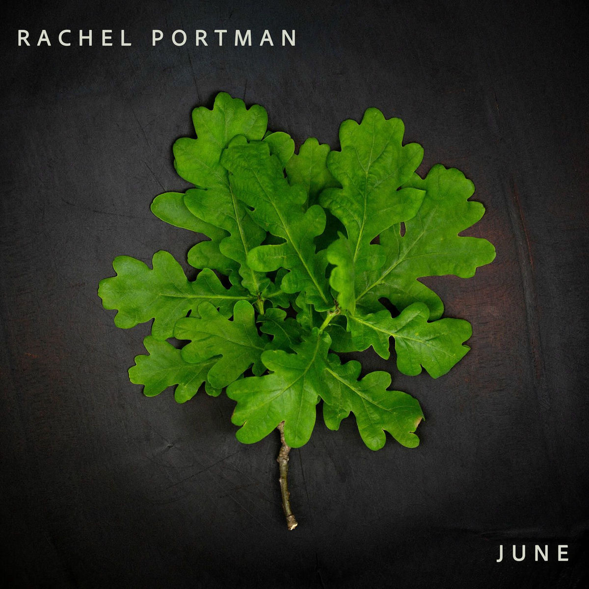 Album cover of June