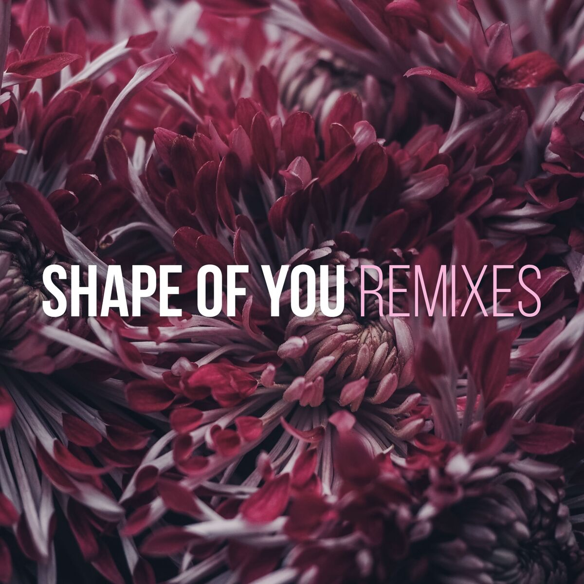 Album cover of Shape of You (Remixes)