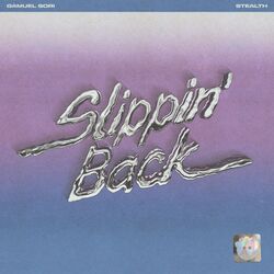 Cover of Slippin' Back