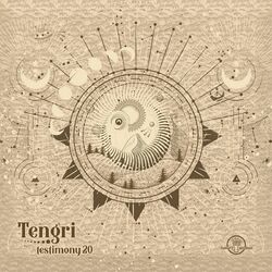Cover of Testimony 20