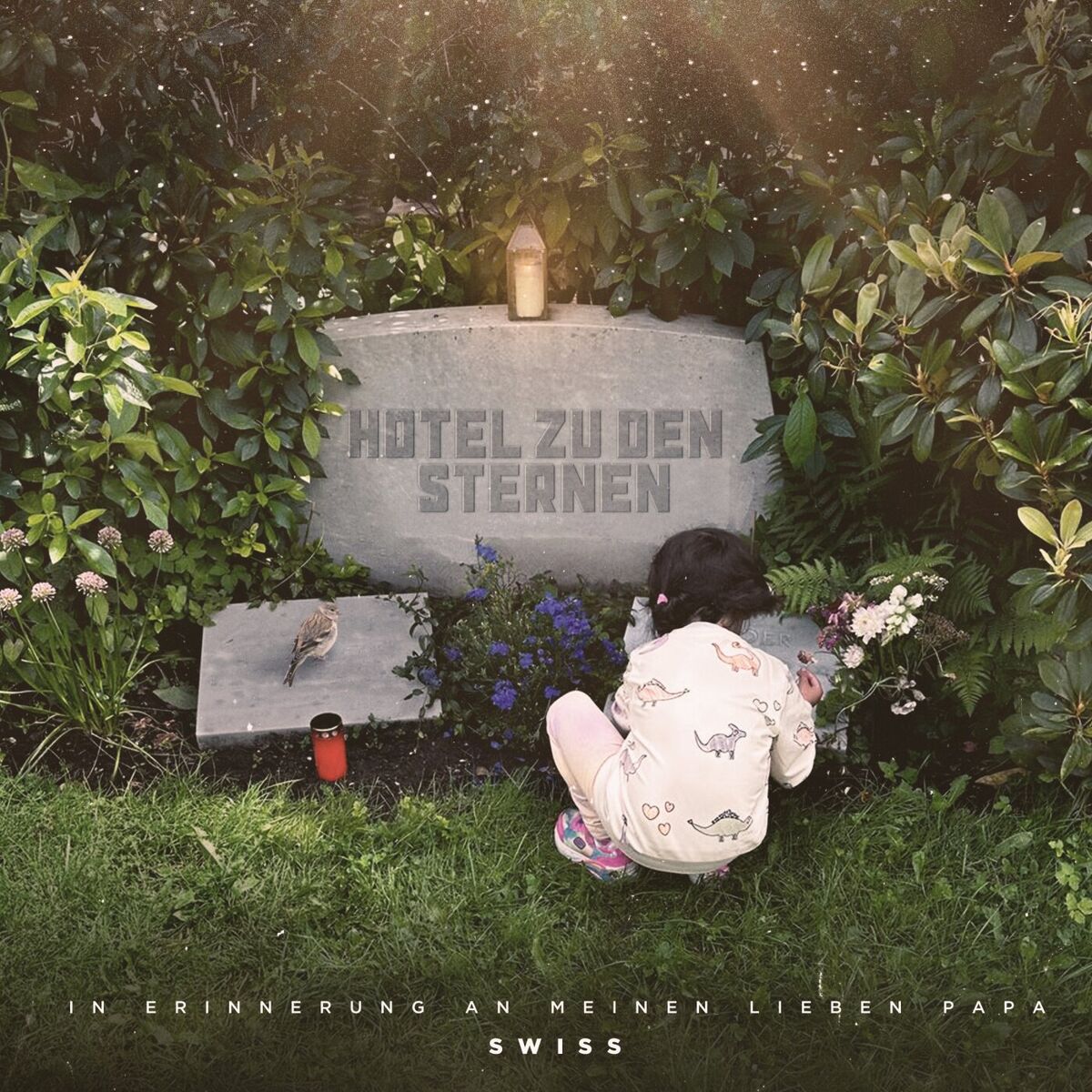 Album cover of Hotel zu den Sternen