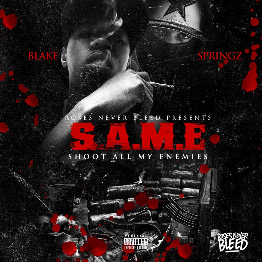 Picture of S.A.M.E (Shoot All My Enemies)