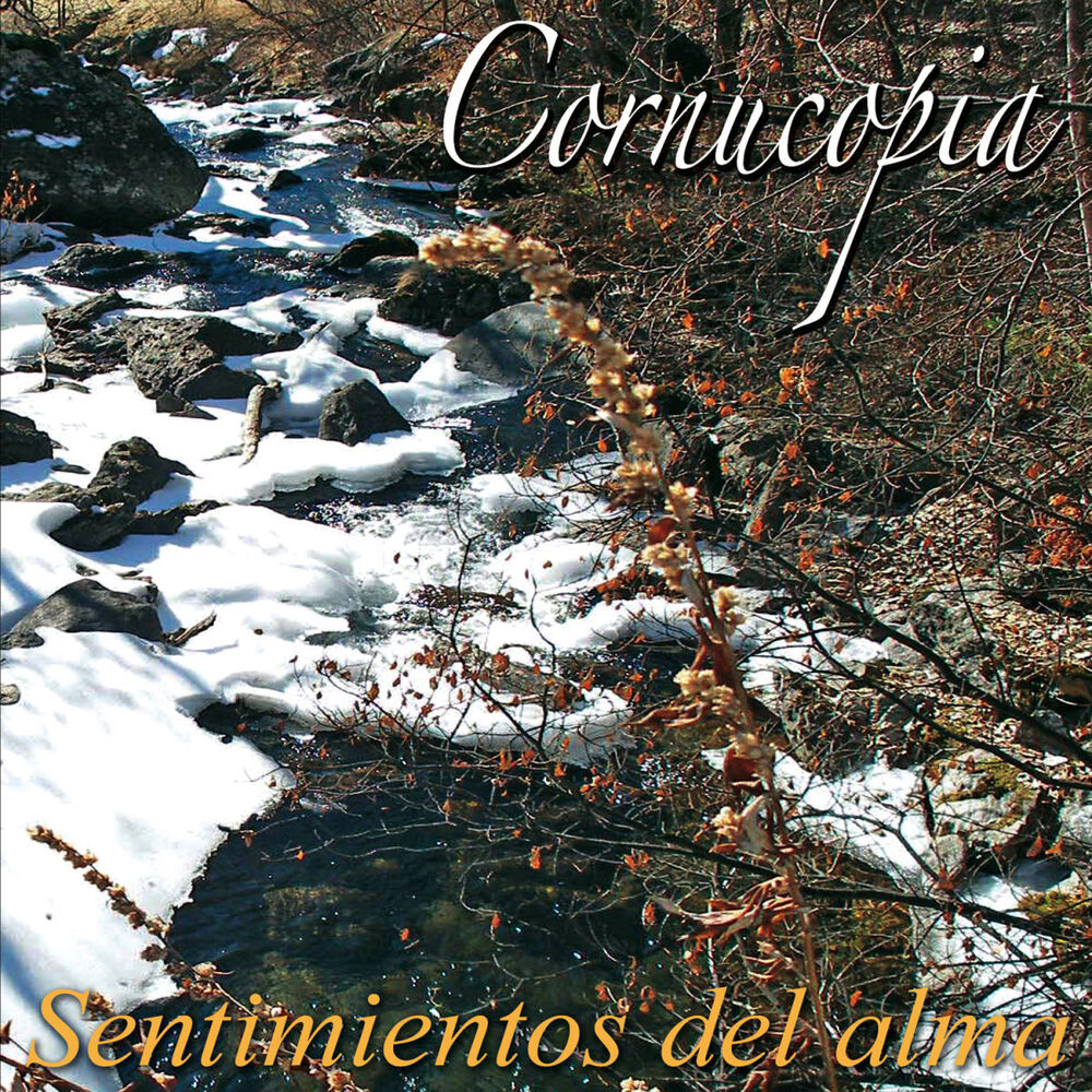Picture of Sentimientos del alma