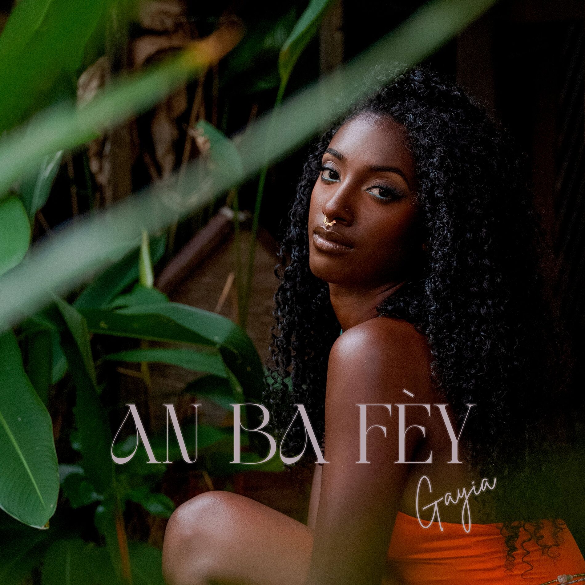 Album cover of An Ba Fèy