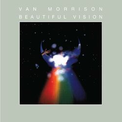 Cover of Beautiful Vision