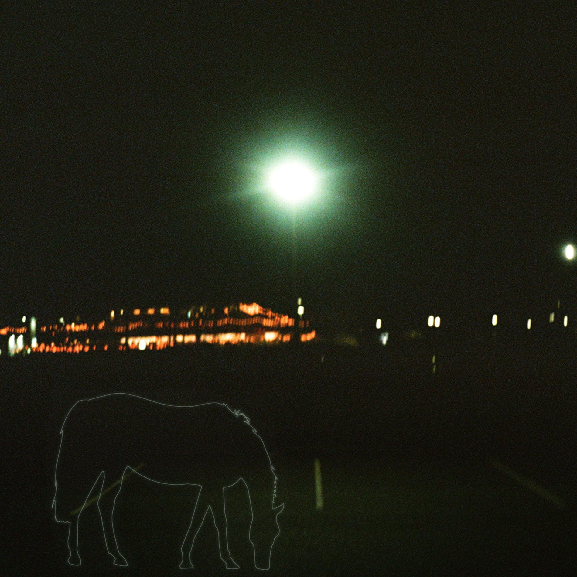 Album cover of Cowboy
