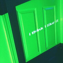 Cover of I Think I Like It
