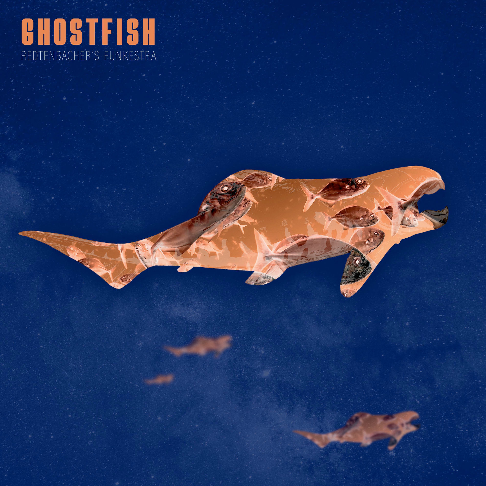Album cover of Ghostfish (Masterlink Sessions)