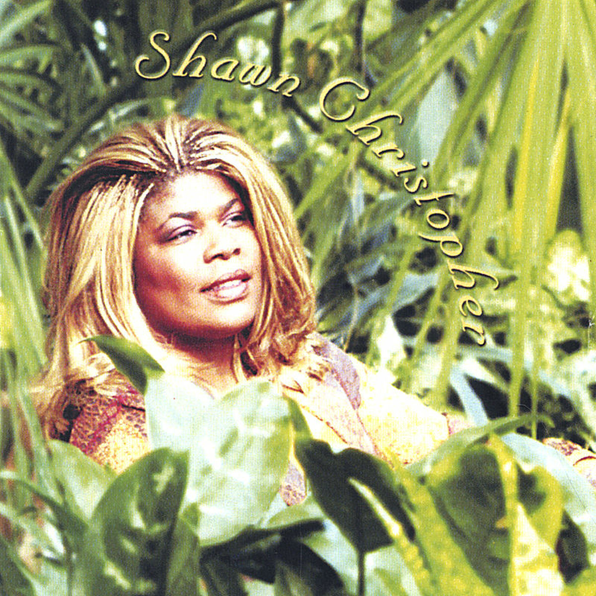 Album cover of Drink From the Fountain (remix)