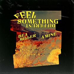 Cover of FEEL SOMETHING DIFFERENT