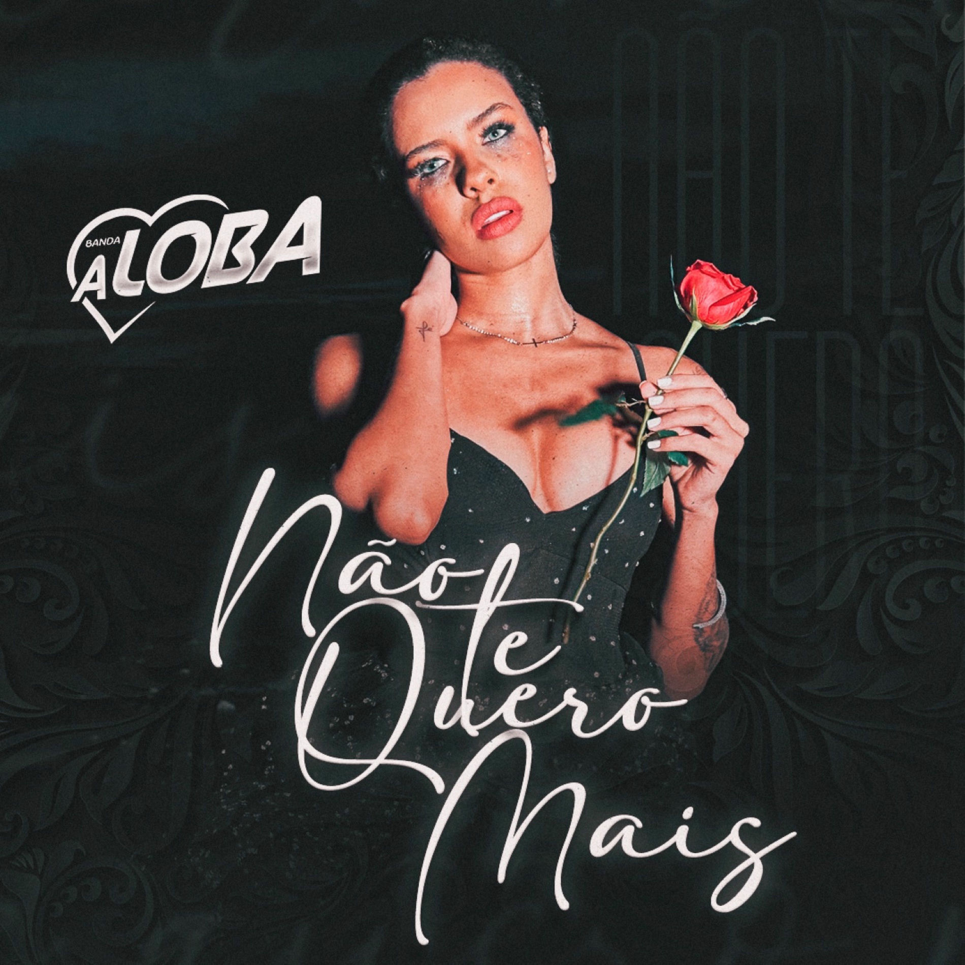 Album cover of Não Te Quero Mais