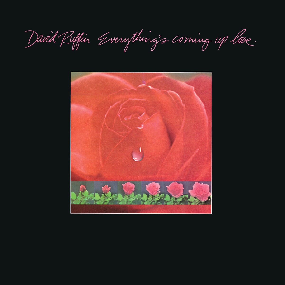 Album cover of Everything’s Coming Up Love